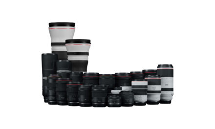 Can Canon EF-M Lenses Work on R mount Cameras?