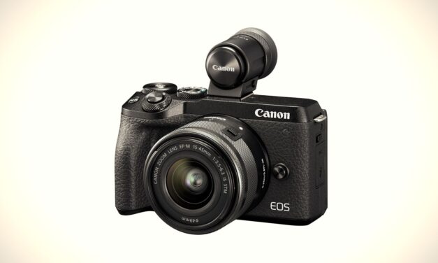 Canon M50 vs Canon M6ii