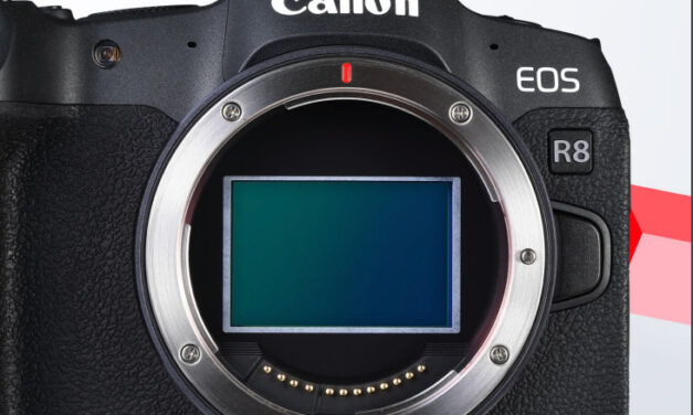 Canon R8 Digital Camera