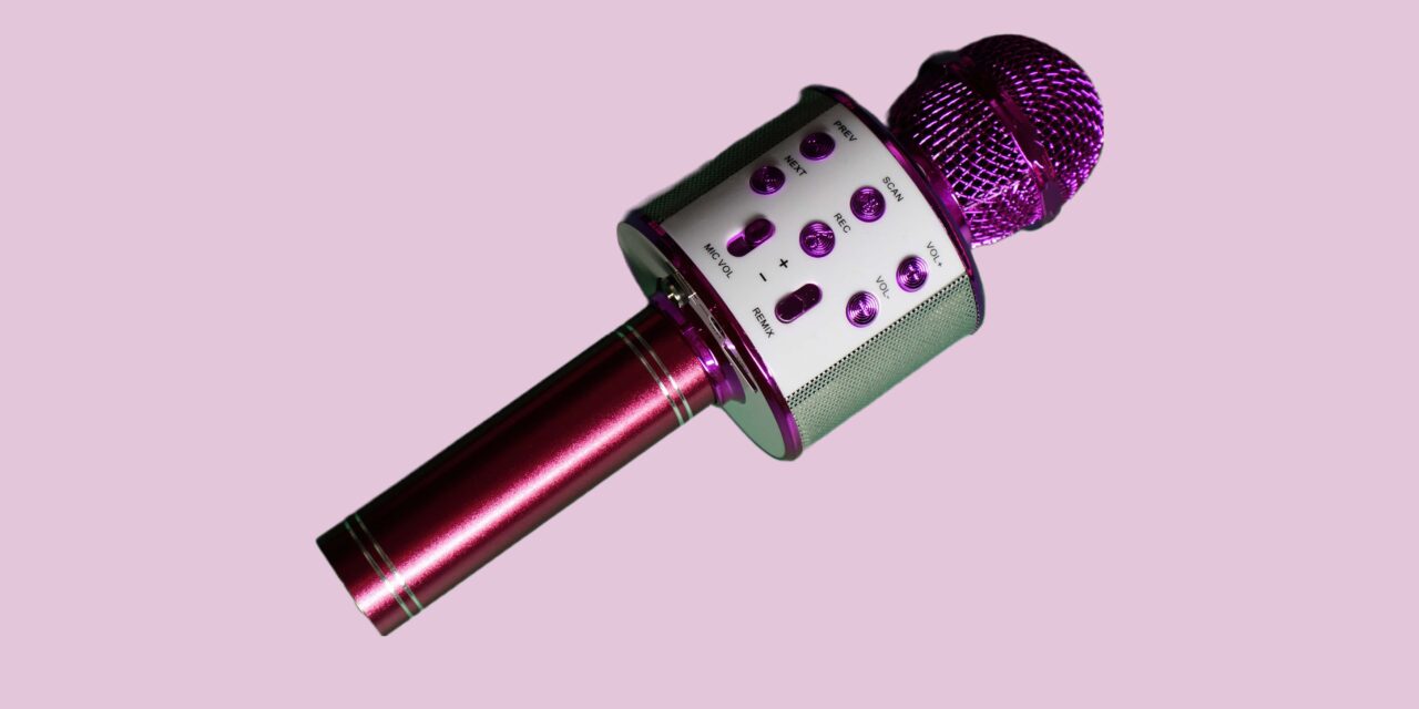 Bluetooth Karaoke Microphone (WS-858L)