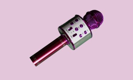 Bluetooth Karaoke Microphone (WS-858L)